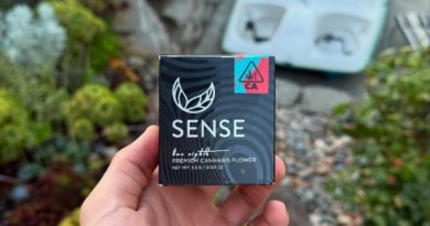 pink certz by sense cannabis strain review by yieldisdead