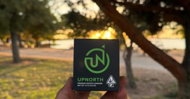 platinum afghani by upnorth craft strain review by yieldisdead 2