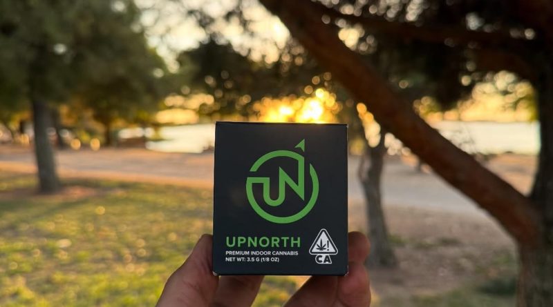 platinum afghani by upnorth craft strain review by yieldisdead 2