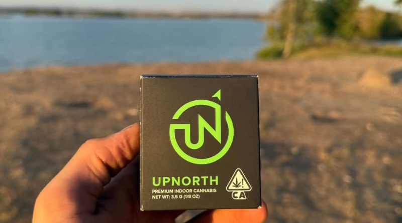 red congolese by upnorth humboldt strain review by yieldisdead 2