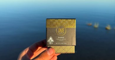 shangrila by maven genetics strain review by yieldisdead 2