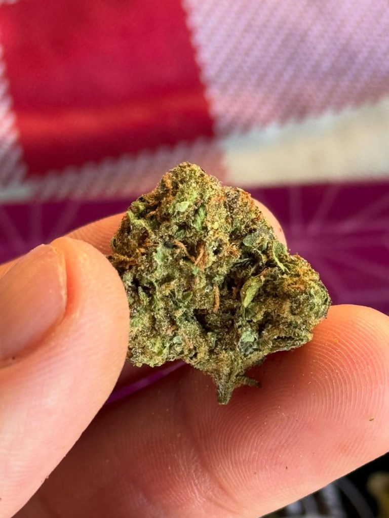 sherbanger by brite labs straini review by yieldisdead