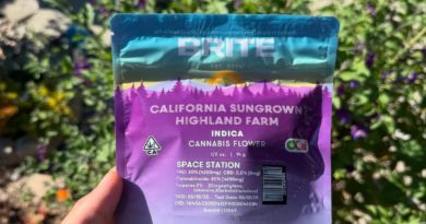 space station by brite labs strain review by yieldisdead 2