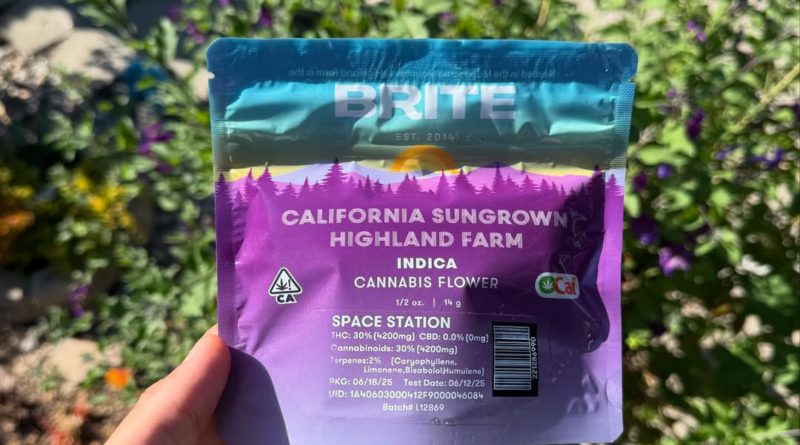 space station by brite labs strain review by yieldisdead 2