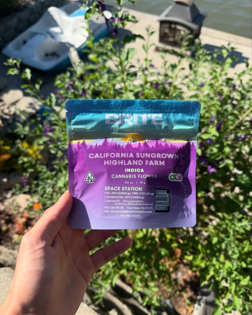 space station by brite labs strain review by yieldisdead 2