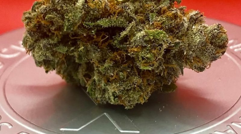 strawberry gushers by joshwax strain review by getbbudded23