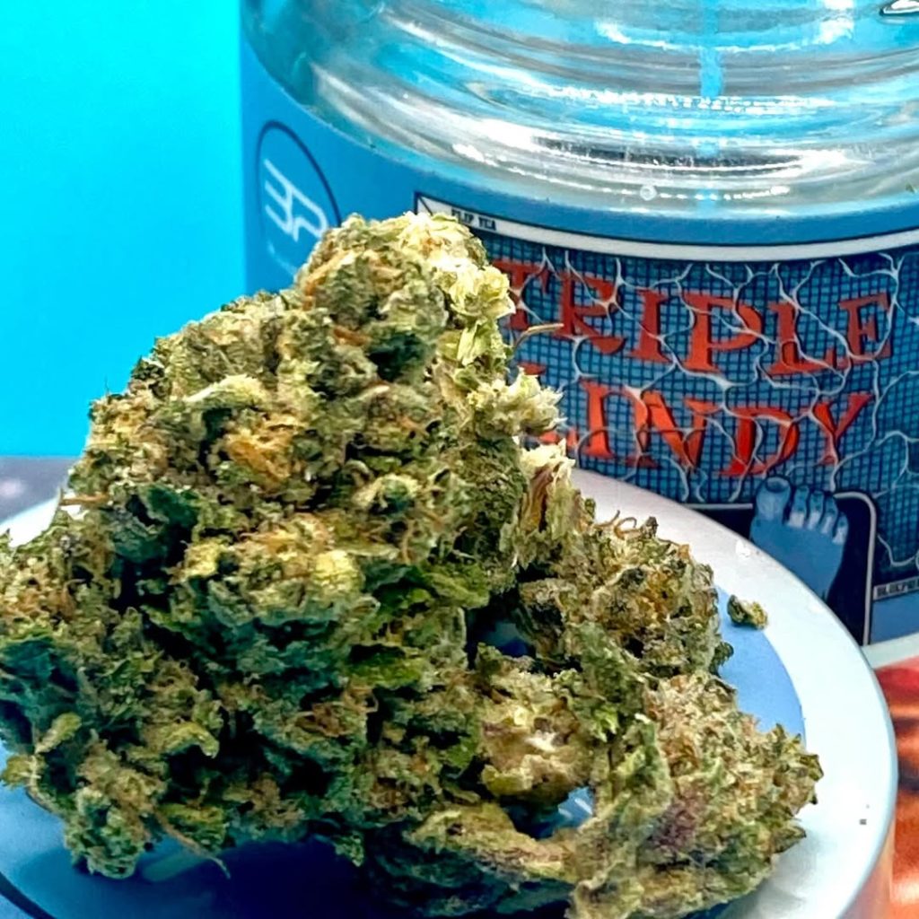 triple lindy 2025 by blueprint strain review by getbbudded23