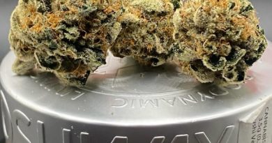 zushi verde by josh wax strain review by getbbudded23