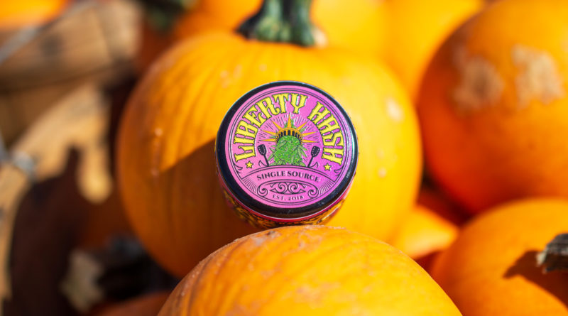 A purple jar of rosin sits on a mini pumpkin. The top label facing out says Liberty Hash.