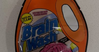 brainwash by the flower district strain review by eriksreviews