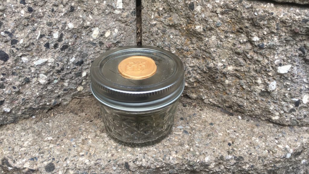 octang by seeds of kismet strain review by caleb chen