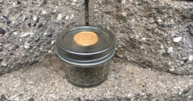 octang by seeds of kismet strain review by caleb chen